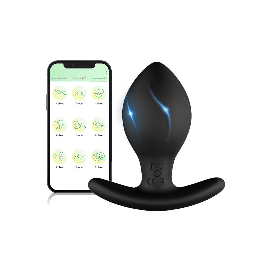 Four Sizes App / Wireless Remote Control Anal Vibrator
