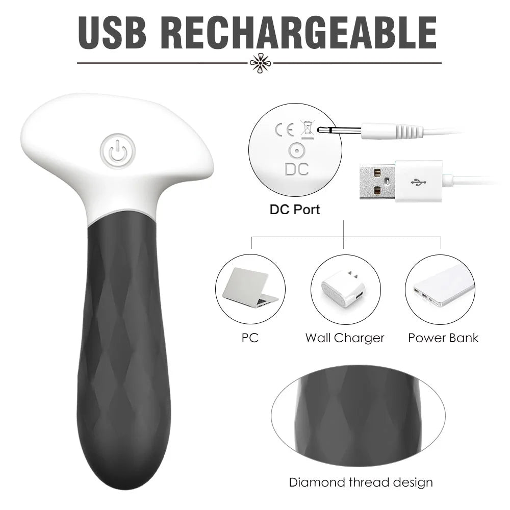 S074-2 Dream-d Remote Control Strong Shock Anal Vibrator