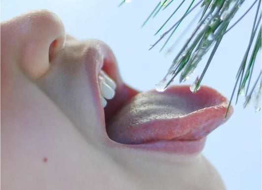 Achieve Ultimate Sex with the Tongue or Tongue Vibrator