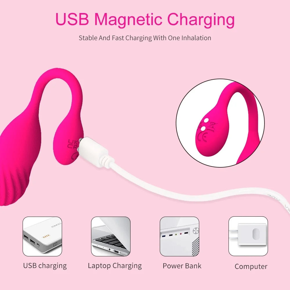 App Remote Control Panty Vibrator