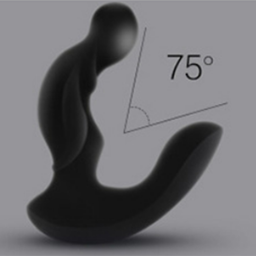 Levett Prostate G-spot Dual Motor Prostate Massager