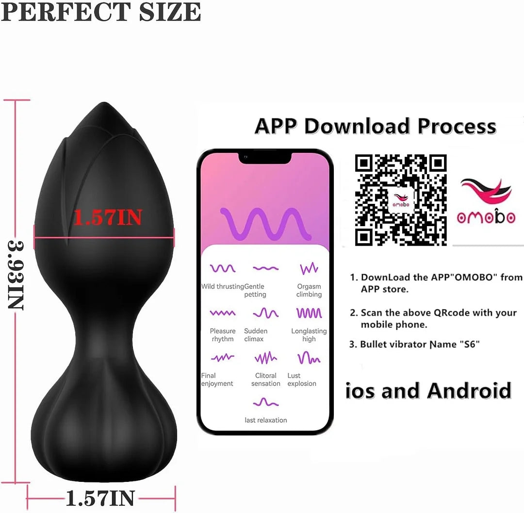 App Remote Control 10 Frequency Anal Vibrator