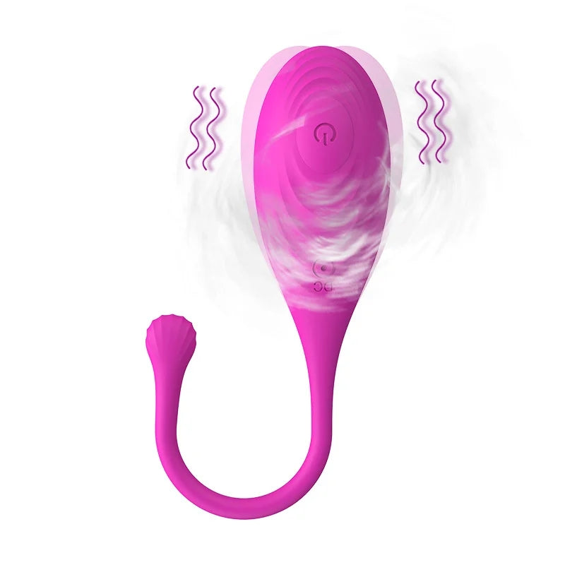 Wireless Remote Control Panty Vibrator