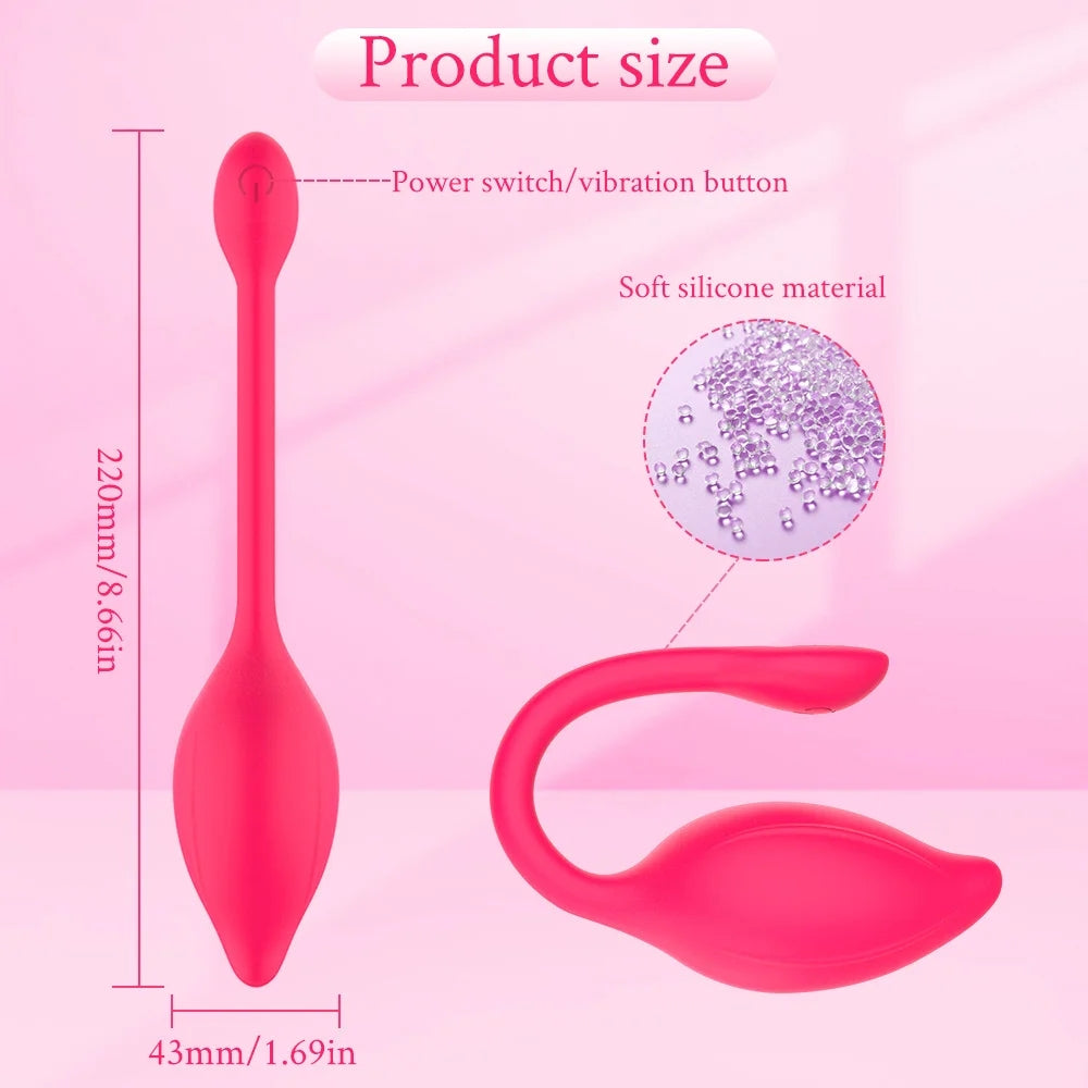 App & Wireless Remote 9 Frequncy Strong Shock Panty Vibrator