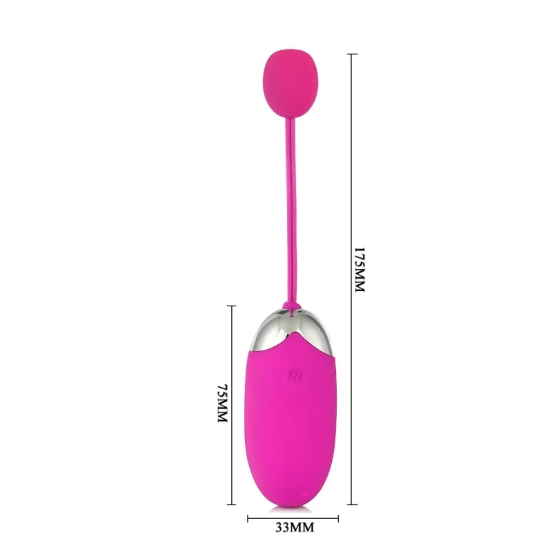 App Remote Control Vibrator Rechargeable Vibrator Egg