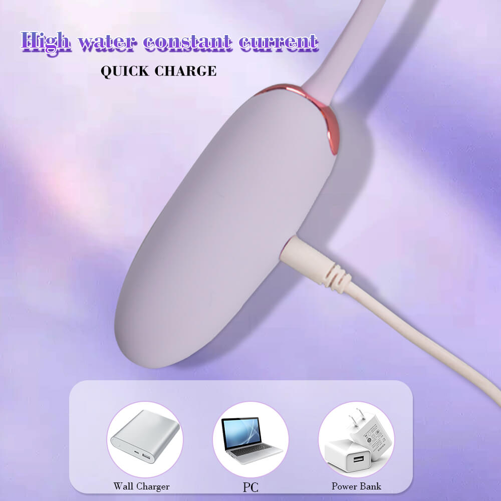 Roselex G Spot Vibrating Jump Egg Dildo Vaginal Massager Vibrators Wearable Stimulator APP-ZhenDuo Sex Shop-ZhenDuo Sex Shop