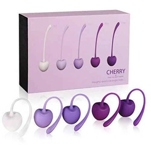 5Pcs Vaginal Bladder Tightening Kegel Ball Exercise Weights Ben Wa Balls-ZhenDuo Sex Shop