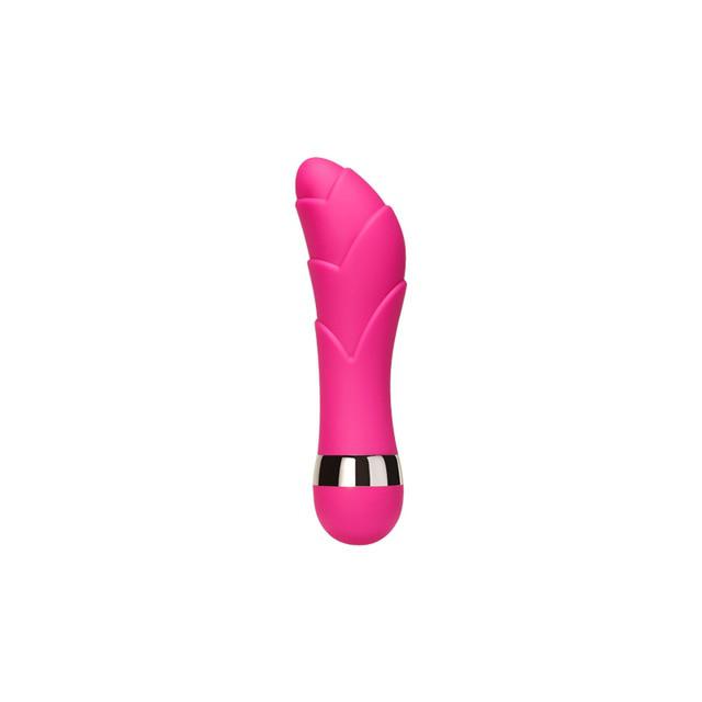 Multi-speed G Spot Vagina Clitoris Vibrator-ZhenDuo Sex Shop